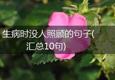 生病时没人照顾的句子(汇总10句)