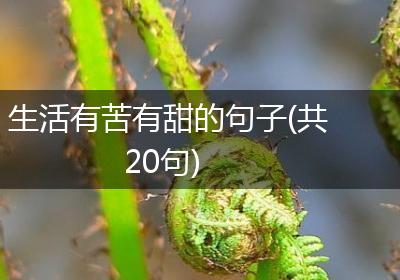生活有苦有甜的句子(共20句)
