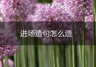 进场造句怎么造
