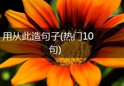 用从此造句子(热门10句)
