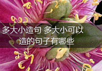 多大小造句 多大小可以造的句子有哪些