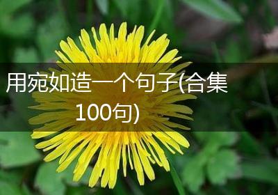 用宛如造一个句子(合集100句)
