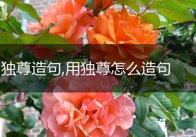 独尊造句,用独尊怎么造句