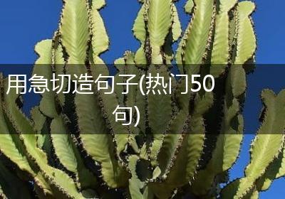 用急切造句子(热门50句)