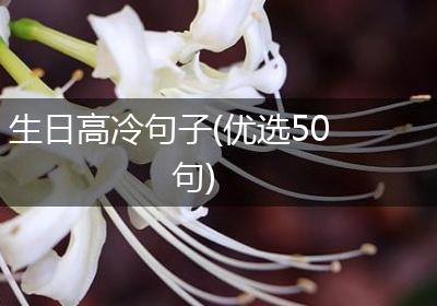 生日高冷句子(优选50句)