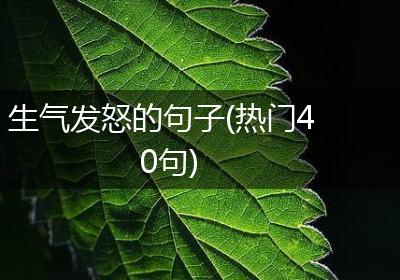 生气发怒的句子(热门40句)