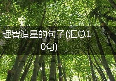 理智追星的句子(汇总10句)