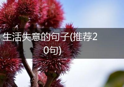 生活失意的句子(推荐20句)