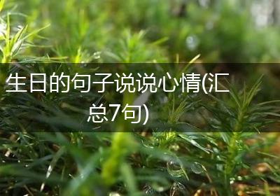 生日的句子说说心情(汇总7句)