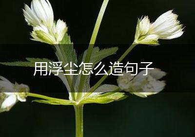 用浮尘怎么造句子