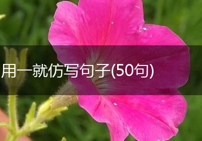 用一就仿写句子(50句)