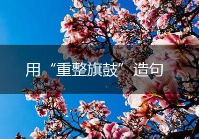 用“重整旗鼓”造句