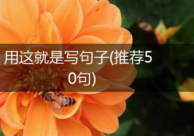 用这就是写句子(推荐50句)