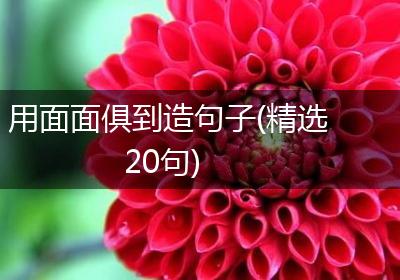用面面俱到造句子(精选20句)
