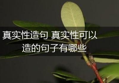 真实性造句 真实性可以造的句子有哪些