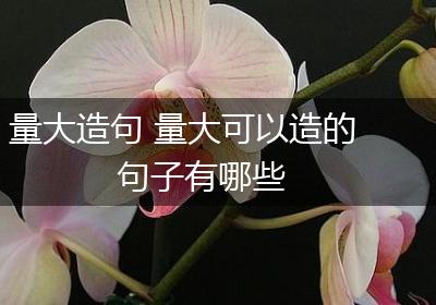 量大造句 量大可以造的句子有哪些