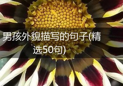 男孩外貌描写的句子(精选50句)