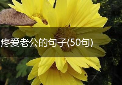 疼爱老公的句子(50句)