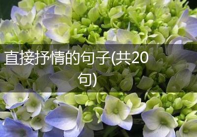 直接抒情的句子(共20句)
