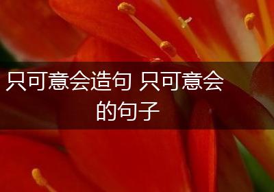 只可意会造句 只可意会的句子
