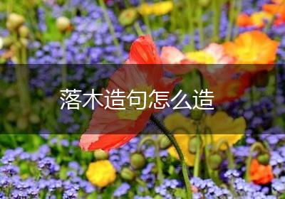 落木造句怎么造