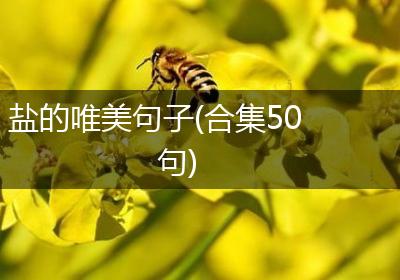 盐的唯美句子(合集50句)