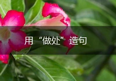用“做处”造句