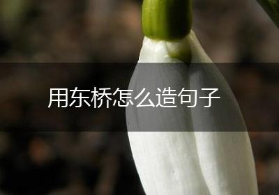 用东桥怎么造句子