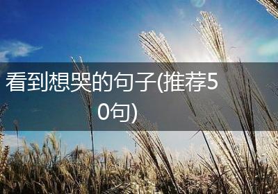看到想哭的句子(推荐50句)