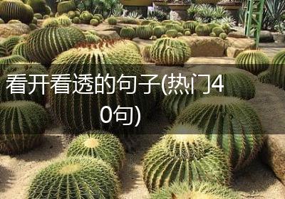 看开看透的句子(热门40句)