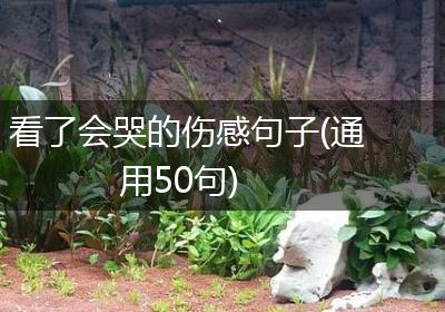 看了会哭的伤感句子(通用50句)