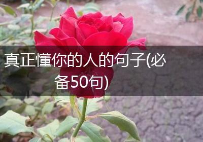 真正懂你的人的句子(必备50句)
