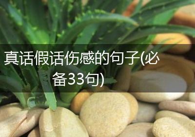 真话假话伤感的句子(必备33句)