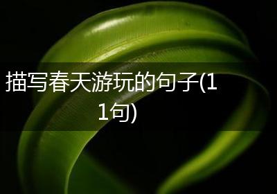 描写春天游玩的句子(11句)