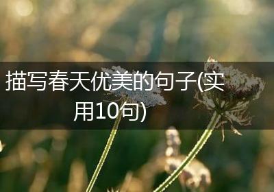 描写春天优美的句子(实用10句)