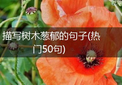 描写树木葱郁的句子(热门50句)