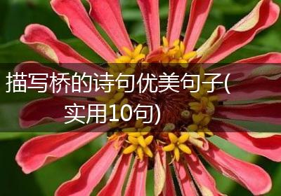描写桥的诗句优美句子(实用10句)