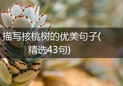 描写核桃树的优美句子(精选43句)
