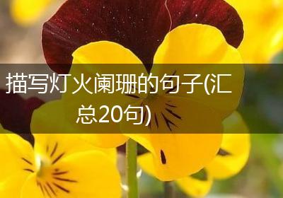 描写灯火阑珊的句子(汇总20句)