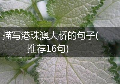 描写港珠澳大桥的句子(推荐16句)