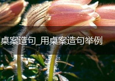 桌案造句_用桌案造句举例