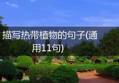 描写热带植物的句子(通用11句)