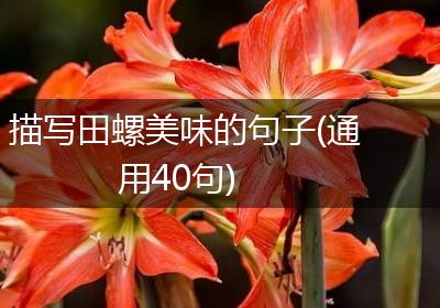 描写田螺美味的句子(通用40句)