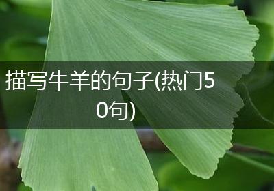 描写牛羊的句子(热门50句)
