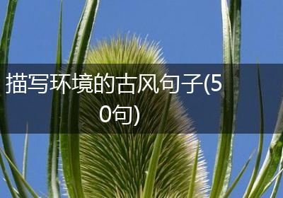 描写环境的古风句子(50句)