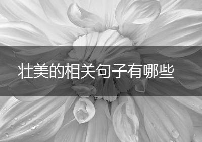 壮美的相关句子有哪些