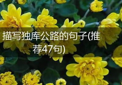 描写独库公路的句子(推荐47句)