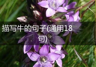 描写牛的句子(通用18句)