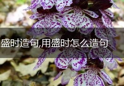 盛时造句,用盛时怎么造句