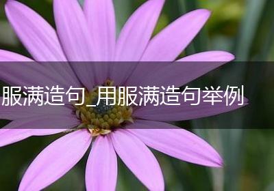 服满造句_用服满造句举例